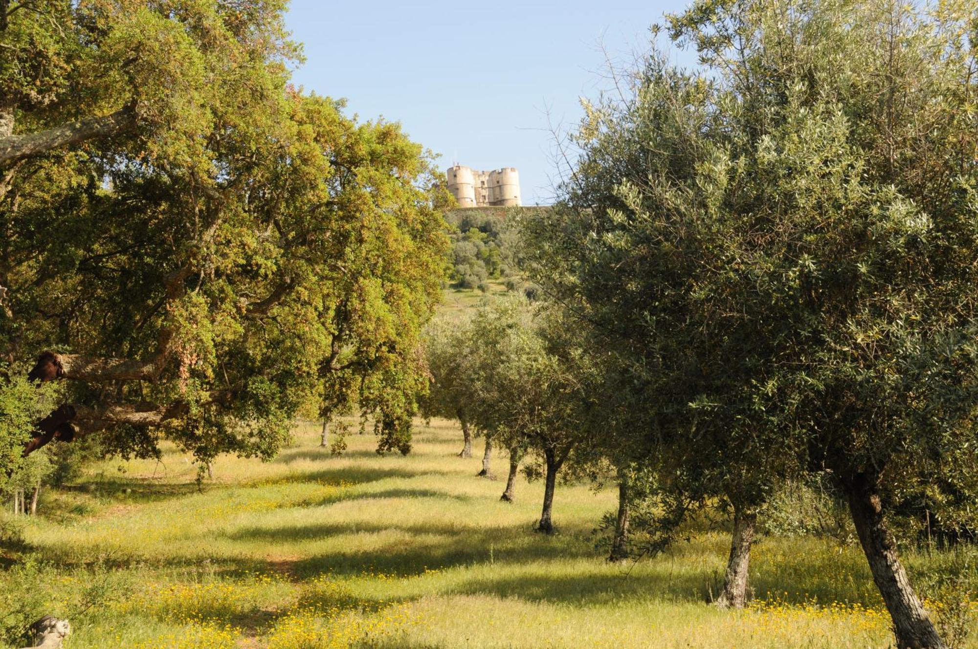 Quinta De Evoramonte Villa Estremoz Luaran gambar